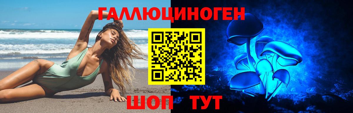 Галлюциногенные грибы мицелий Норильск